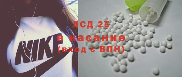 твердый Новодвинск