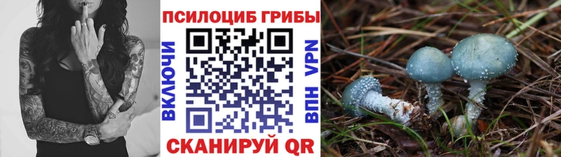 Галлюциногенные грибы прущие грибы  Зеленоградск 